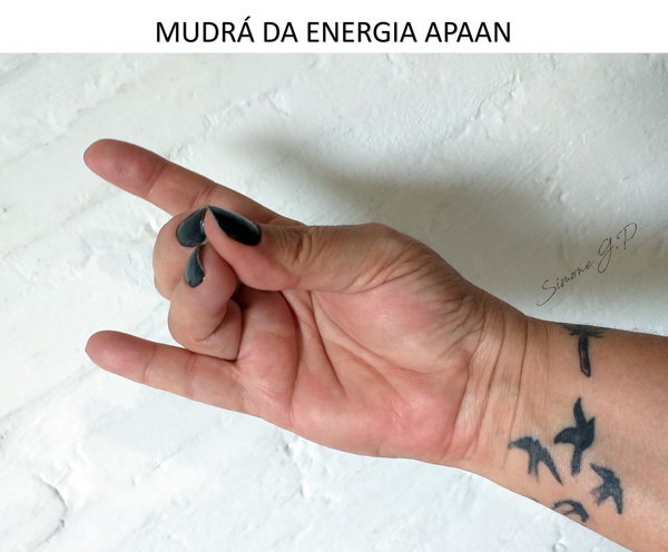 Mudra Apaan