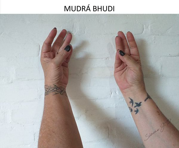 Mudra Bhudi