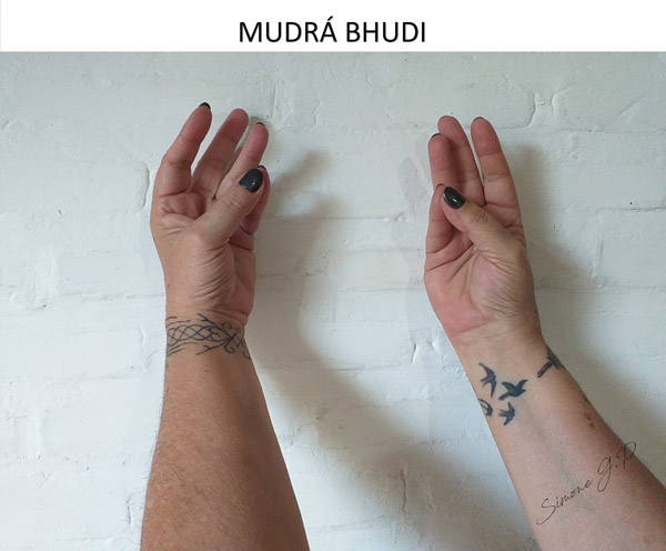 Mudra Bhudi