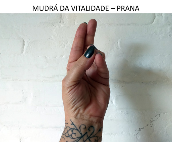 Mudra Vitalidade