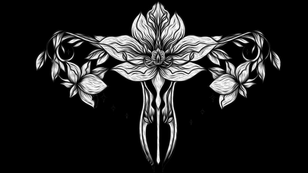 GRATIDÃO VENTRE SAGRADO!