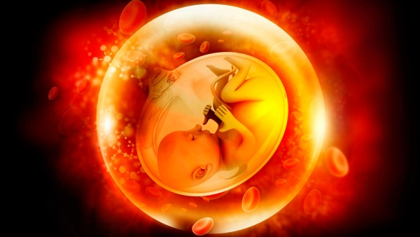 Quando o Útero deixa de ser Sagrado