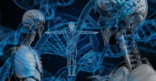 DNA - Somos um pequeno universo